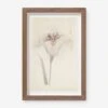 Vintage Japanese Iris No. 33 Wall Art By Miyoshi Manabu