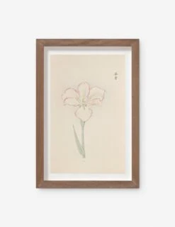 Vintage Japanese Iris No. 47 Wall Art By Miyoshi Manabu