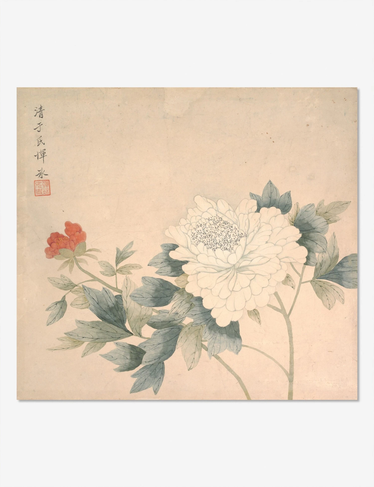 Flower Study 2 Print By Yun Bing - Image 2