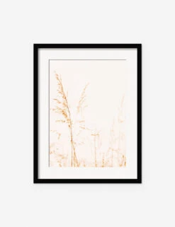 Wild Grass Photography Print By Ingrid Beddoes