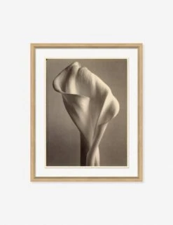 Sepia Flowers Wall Art