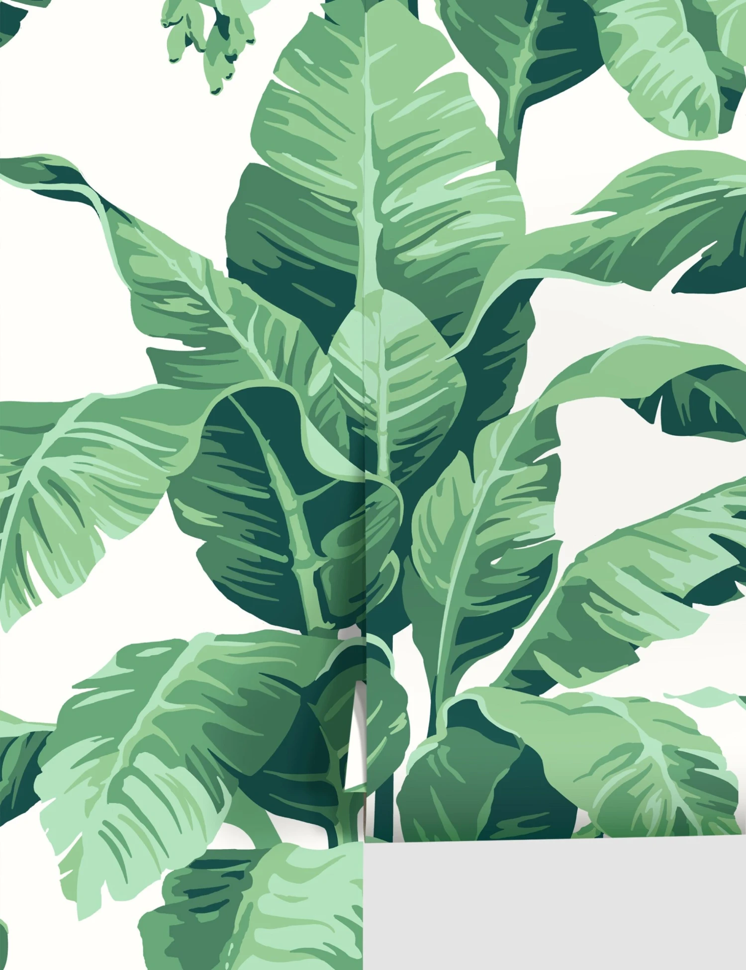 Pacifico Palm Peel + Stick Wallpaper By Nathan Turner